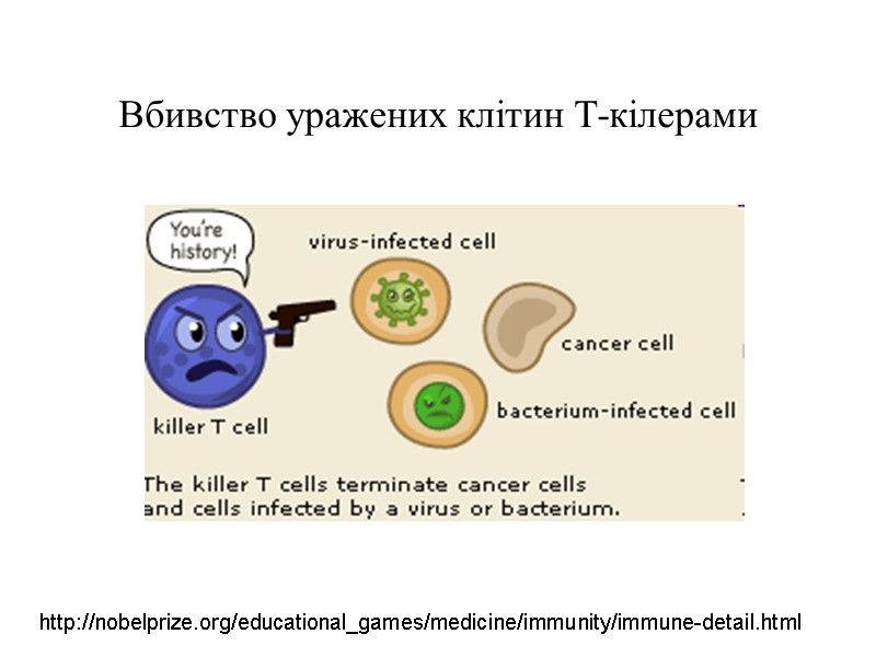 Вбивство уражених клітин Т-кілерами http://nobelprize.org/educational_games/medicine/immunity/immune-detail.html